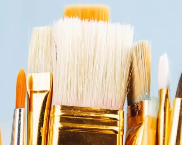 brush brush