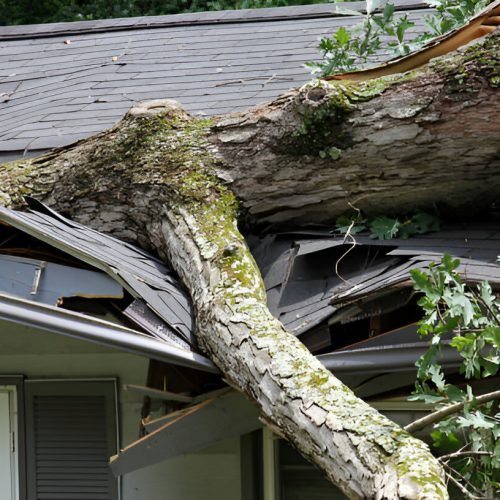 storm damage storm damage