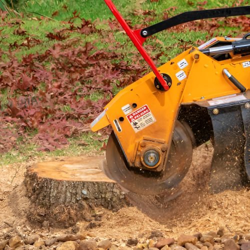 stump grinding stump grinding